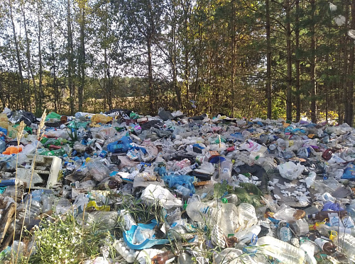 Сотрудники Росприроднадзора выявили свалки мусора в ГПЗ ФЗ «Муромский»